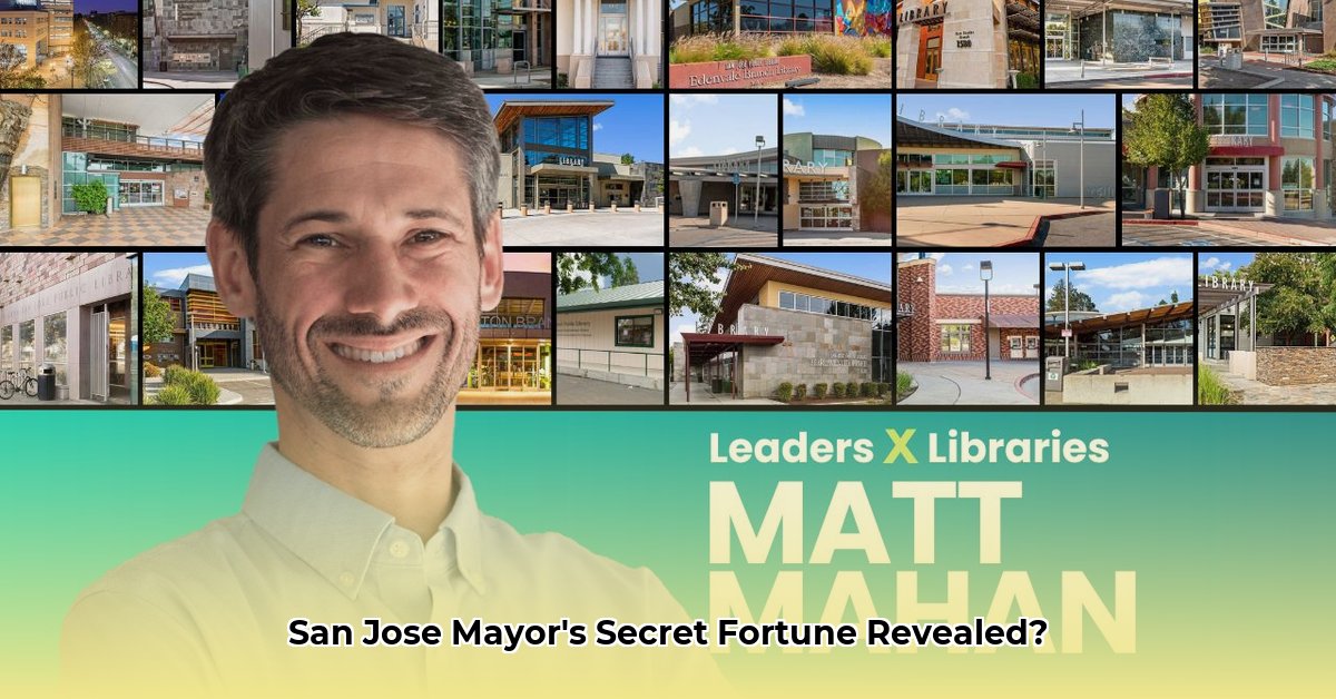 matt-mahan-net-worth